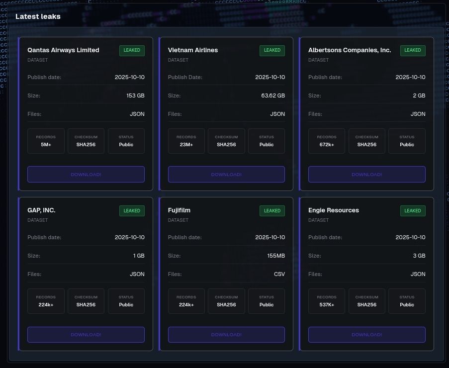 Site de fuite de données hébergeant les informations Salesforce des victimes.
