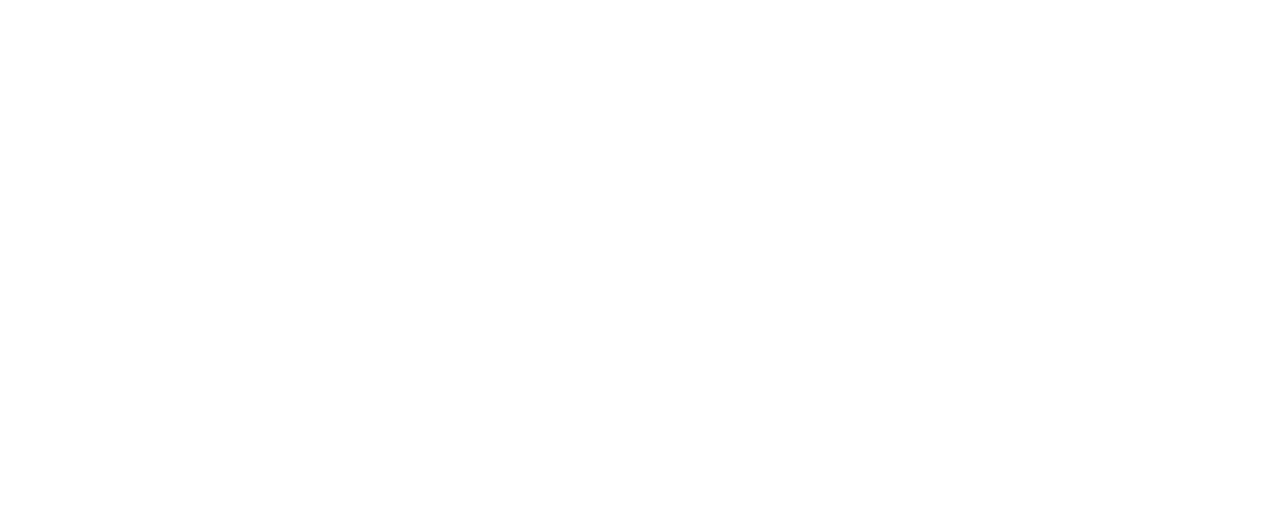 NZZ