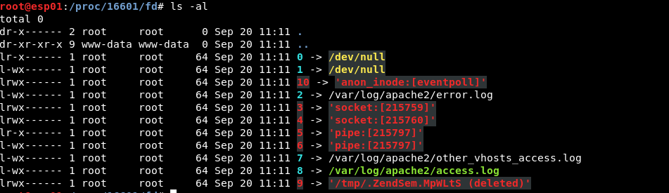 Local File Inclusion schema